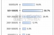 伴侣花钱算账报告（13页）