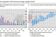 国际清算银行年度经济报告：警告全球经济面临多重压力（英文，133页）