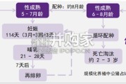 生猪需求、周期与成本研究报告（14页）
