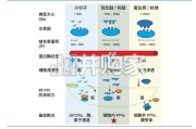 口服环肽行业报告：成药性验证元年，百亿美元赛道启幕（25页）
