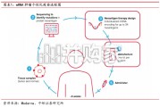 医药生物深度报告：从mRNA个性化疫苗临床突破看测序潜在需求提升（10页）