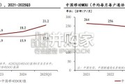 中国运营商代理销售行业研究报告（19页）