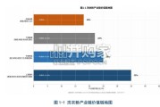 洗衣粉产业报告：专利导航与技术战略深度诊断报告（82页）