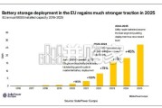 2026年全球住宅储能白皮书（英文，42页）