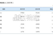 国家税务总局中国税务2025年度报告（32页）