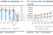 钨＆稀土行业报告：配额限制下的供需错配（22页）