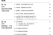 2026中国OPC一人公司深度洞察报告（80页）