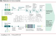 肿瘤疫苗行业报告：mRNA肿瘤疫苗III期首胜，赛道有望步入商业化（18页）