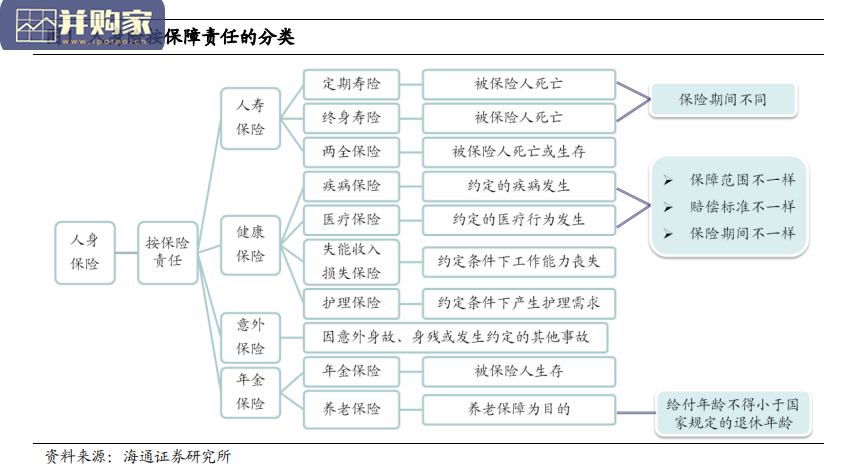 保险行业报告:中国寿险险种结构变迁(39页)-第1张图片 保险行业报告:中国寿险险种结构变迁(39页)-第1张图片