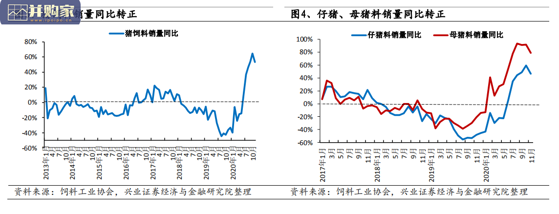 农产品年度供需研究报告(31页)-第1张图片 农产品年度供需研究报告(31页)-第1张图片