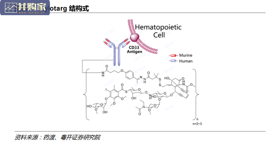 抗体偶联药物ADC报告:HER2+ADC渐入收获期(36页)-第1张图片 抗体偶联药物ADC报告:HER2+ADC渐入收获期(36页)-第1张图片