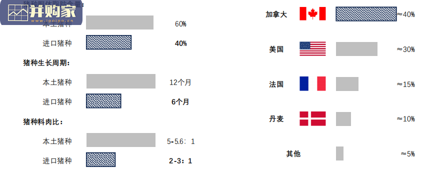 中国种猪行业报告(62页)-第1张图片 中国种猪行业报告(62页)-第1张图片
