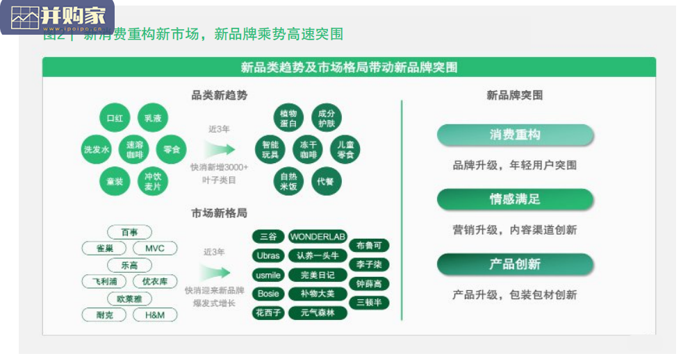 新品牌成长白皮书（30页）-第1张图片