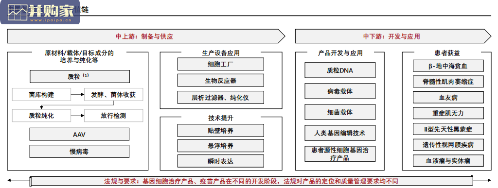 中国基因治疗行业报告(43页)-第1张图片 中国基因治疗行业报告(43页)-第1张图片