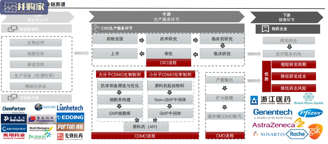 中国医药CXO研发及生产外包服务行业报告(45页)-第1张图片 中国医药CXO研发及生产外包服务行业报告(45页)-第1张图片