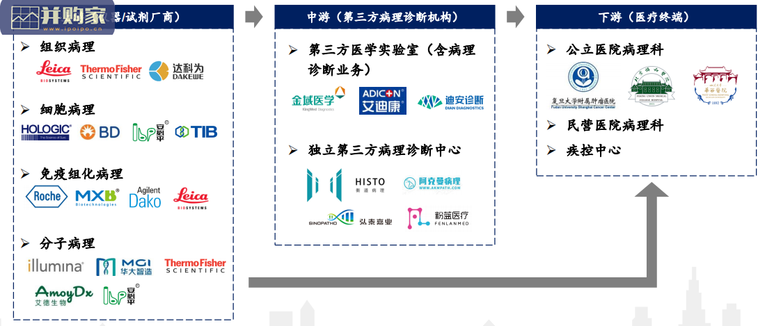 病理诊断行业分析报告:病理诊断终端服务市场(78页)-第1张图片 病理诊断行业分析报告:病理诊断终端服务市场(78页)-第1张图片