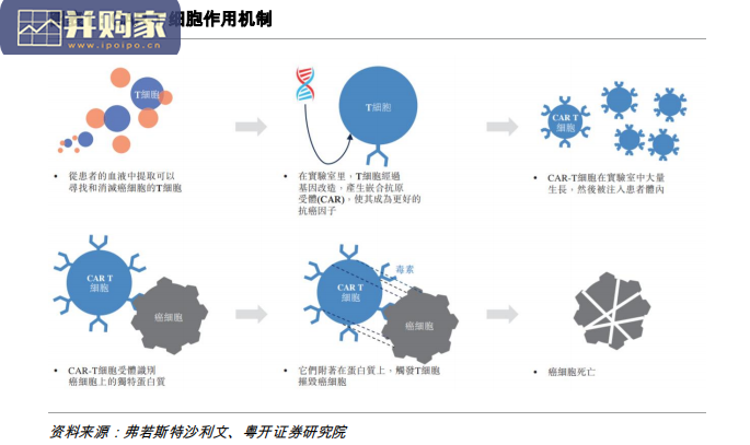 CAR-T细胞疗法行业报告:CAR-T概念及全球上市CAR-T疗法(26页)-第1张图片 CAR-T细胞疗法行业报告:CAR-T概念及全球上市CAR-T疗法(26页)-第1张图片