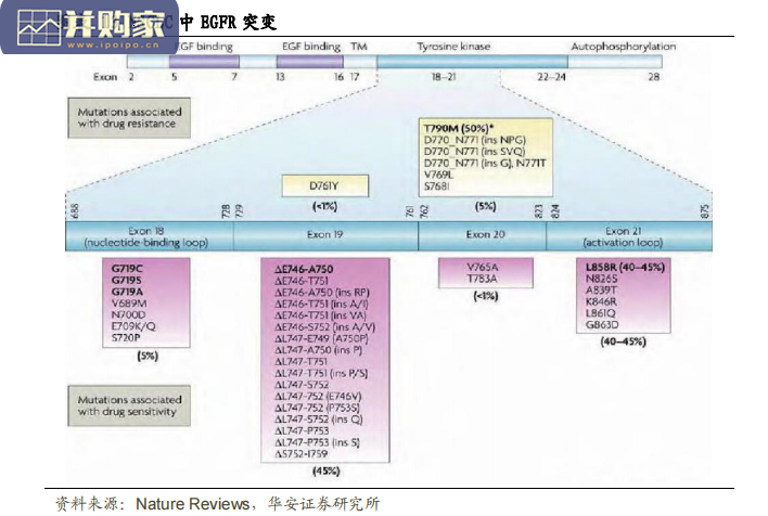 伴随诊断行业报告(34页+37页)-第1张图片 伴随诊断行业报告(34页+37页)-第1张图片