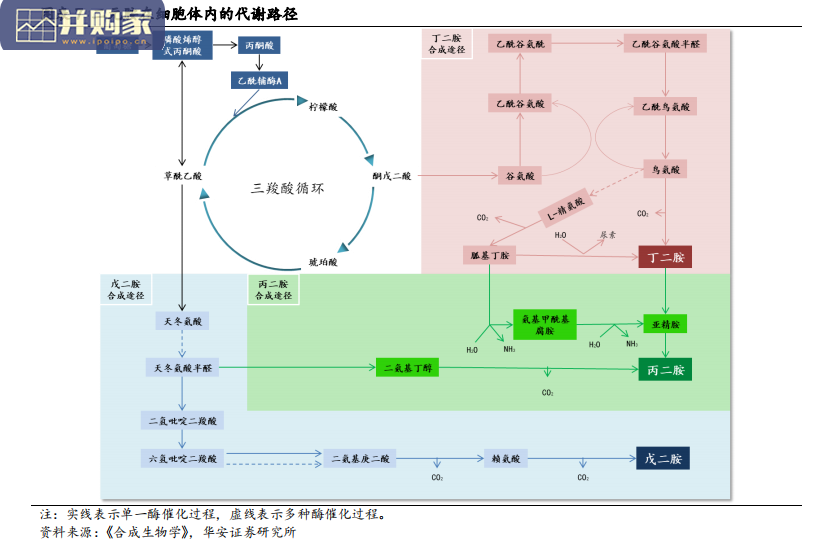 合成生物学行业分析报告(104页)-第1张图片 合成生物学行业分析报告(104页)-第1张图片