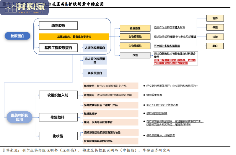 生物制品行业报告:胶原蛋白(42页)-第1张图片 生物制品行业报告:胶原蛋白(42页)-第1张图片