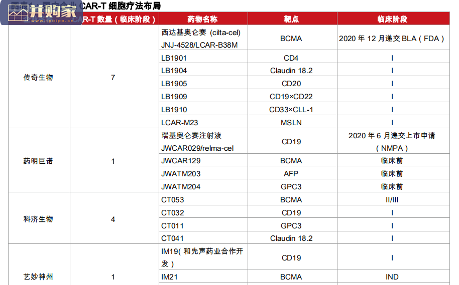 CAR-T行业报告:国内CAR-T细胞疗法梳理(传奇生物、药明巨诺,驯鹿医疗)(16页)-第1张图片 CAR-T行业报告:国内CAR-T细胞疗法梳理(传奇生物、药明巨诺,驯鹿医疗)(16页)-第1张图片