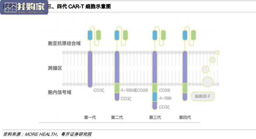 CAR-T细胞疗法报告(50页)-第1张图片 CAR-T细胞疗法报告(50页)-第1张图片