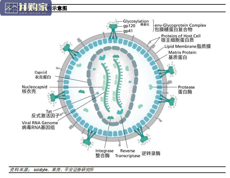 艾滋病用药研究报告:全球抗HIV药物市场、国内抗HIV药物市场(28页)-第1张图片 艾滋病用药研究报告:全球抗HIV药物市场、国内抗HIV药物市场(28页)-第1张图片