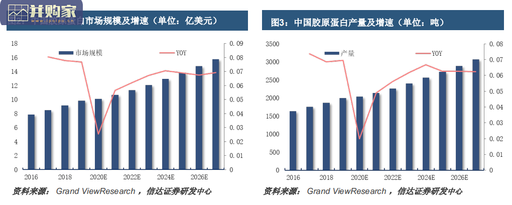 胶原蛋白行业报告：技术升级推动需求崛起（58页）-第1张图片