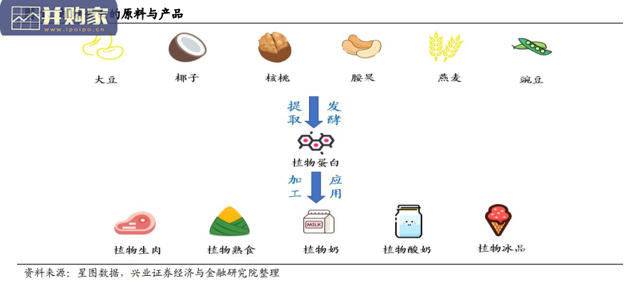 植物基行业报告:植物基食品(12页)-第1张图片 植物基行业报告:植物基食品(12页)-第1张图片