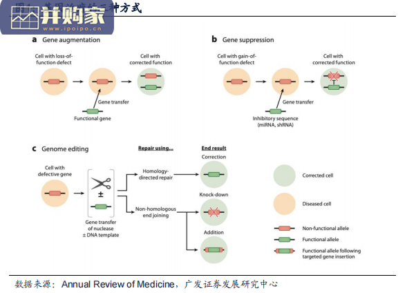 生物药前沿研究报告:细胞与基因治疗(89页)-第1张图片 生物药前沿研究报告:细胞与基因治疗(89页)-第1张图片