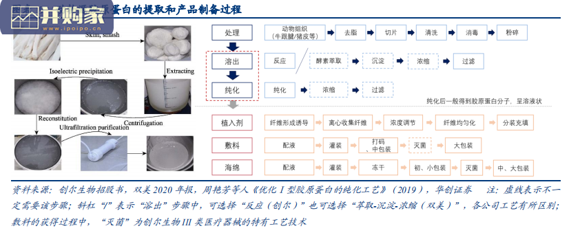 胶原蛋白行业研究报告(50页)-第1张图片 胶原蛋白行业研究报告(50页)-第1张图片