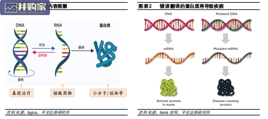 创新药研发报告:小核酸药物(47页)-第1张图片 创新药研发报告:小核酸药物(47页)-第1张图片