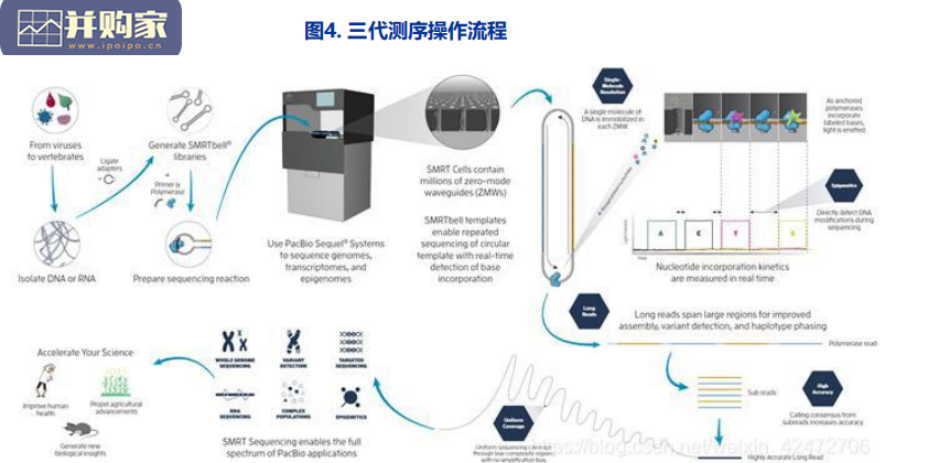 基因测序行业报告:未来大健康领域黄金赛道(77页)-第1张图片 基因测序行业报告:未来大健康领域黄金赛道(77页)-第1张图片