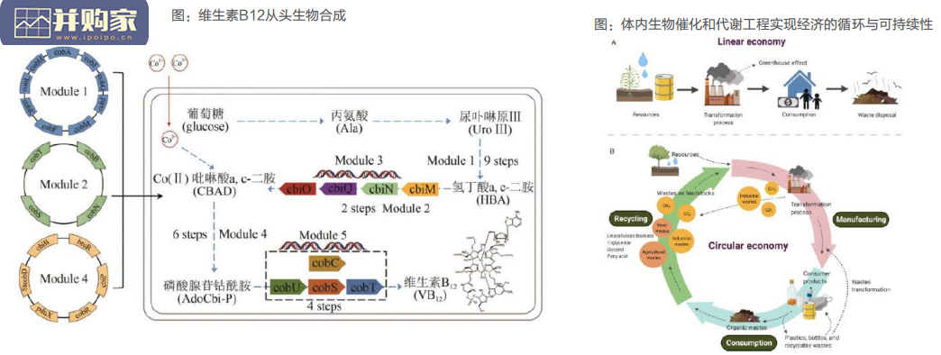 医药生物行业报告:合成生物学(97页)-第1张图片 医药生物行业报告:合成生物学(97页)-第1张图片