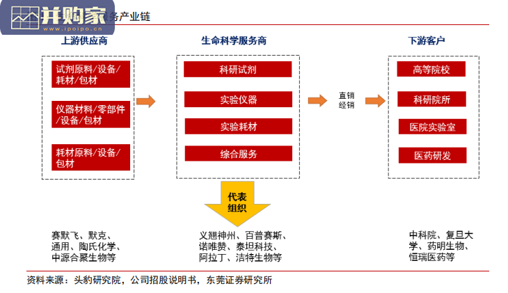 生命科学服务行业报告:多重因素促发展(32页)-第1张图片 生命科学服务行业报告:多重因素促发展(32页)-第1张图片