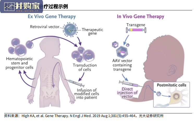 细胞基因治疗CDMO行业报告(49页)-第1张图片 细胞基因治疗CDMO行业报告(49页)-第1张图片