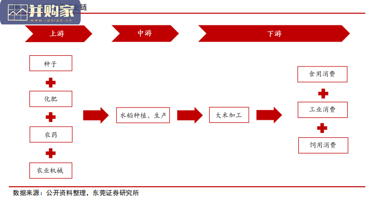 水稻行业报告：我国水稻供需宽松趋势有望延续（32页）-第1张图片