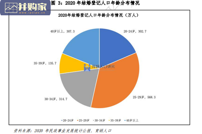 中国婚姻家庭报告(28页)-第1张图片 中国婚姻家庭报告(28页)-第1张图片