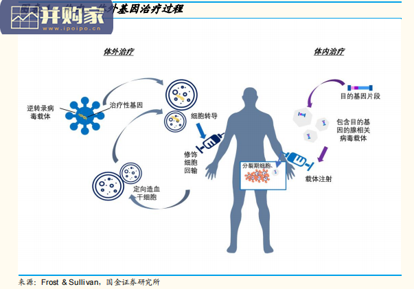 细胞与基因治疗CGT外包服务行业报告(26页)-第1张图片 细胞与基因治疗CGT外包服务行业报告(26页)-第1张图片