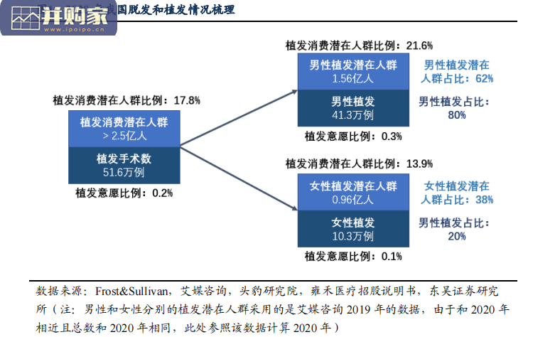 植发行业报告:代际轮动角度下的渗透率和意愿率的深度探究(20页)-第1张图片 植发行业报告:代际轮动角度下的渗透率和意愿率的深度探究(20页)-第1张图片