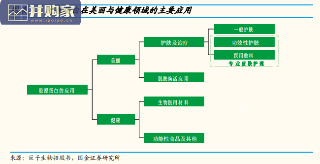 胶原蛋白行业报告:从巨子生物看重组胶原蛋白市场(22页)-第1张图片 胶原蛋白行业报告:从巨子生物看重组胶原蛋白市场(22页)-第1张图片