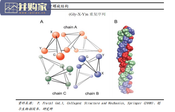 胶原蛋白行业报告:重组胶原蛋白市场(31页)-第1张图片 胶原蛋白行业报告:重组胶原蛋白市场(31页)-第1张图片