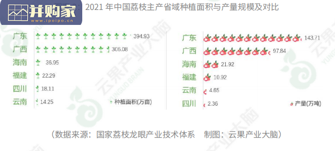 中国荔枝市场研究报告(22页)-第1张图片 中国荔枝市场研究报告(22页)-第1张图片