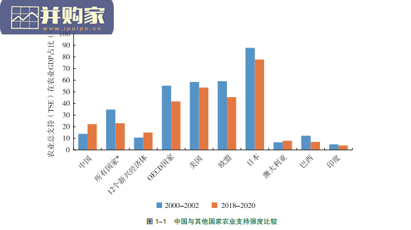 中国与全球食物政策报告(99页)-第1张图片 中国与全球食物政策报告(99页)-第1张图片