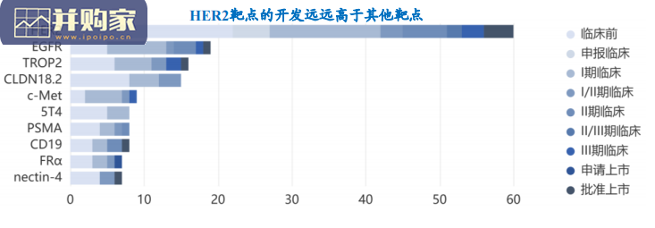 ADC药物行业报告(116页)-第1张图片 ADC药物行业报告(116页)-第1张图片
