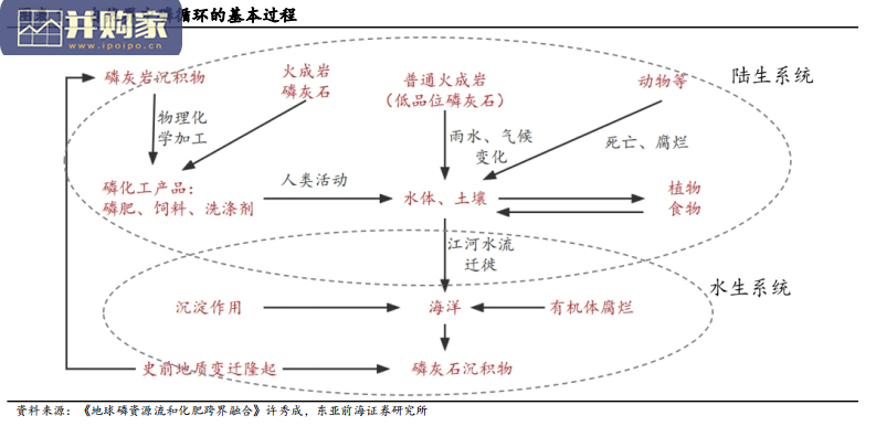 磷行业报告:磷矿石、磷化工(41页)-第1张图片 磷行业报告:磷矿石、磷化工(41页)-第1张图片