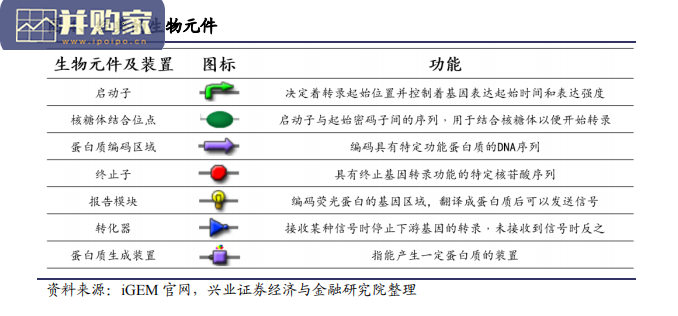 合成生物学深度报告(68页)-第1张图片 合成生物学深度报告(68页)-第1张图片