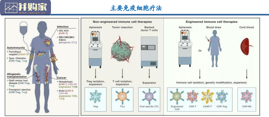 CAR-T行业深度报告:技术篇(92页)-第1张图片 CAR-T行业深度报告:技术篇(92页)-第1张图片