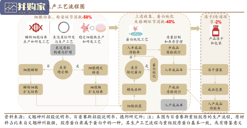 胶原蛋白行业报告:动物源VS基因工程技术对比,看胶原蛋白发展路径(32页)-第1张图片 胶原蛋白行业报告:动物源VS基因工程技术对比,看胶原蛋白发展路径(32页)-第1张图片