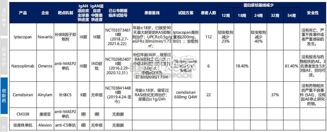 IgA肾病治疗行业报告:IgA肾病治疗中创新药的竞争格局分析(26页)-第1张图片 IgA肾病治疗行业报告:IgA肾病治疗中创新药的竞争格局分析(26页)-第1张图片